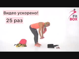 back workout