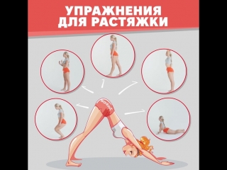 stretching exercises]