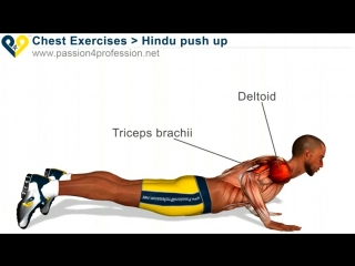 exercise for chest and triceps